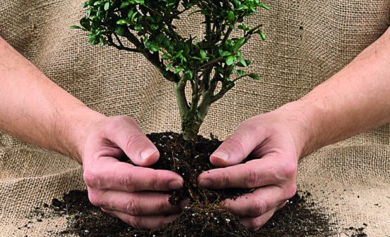 Agricultura ecológica